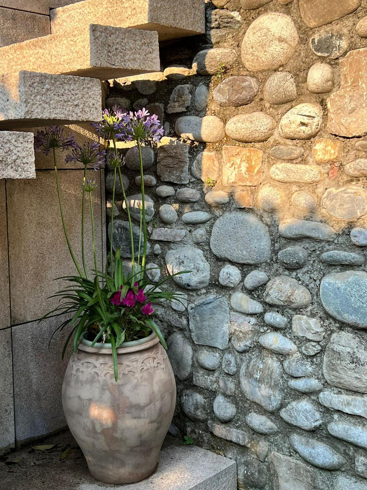Garden Castle