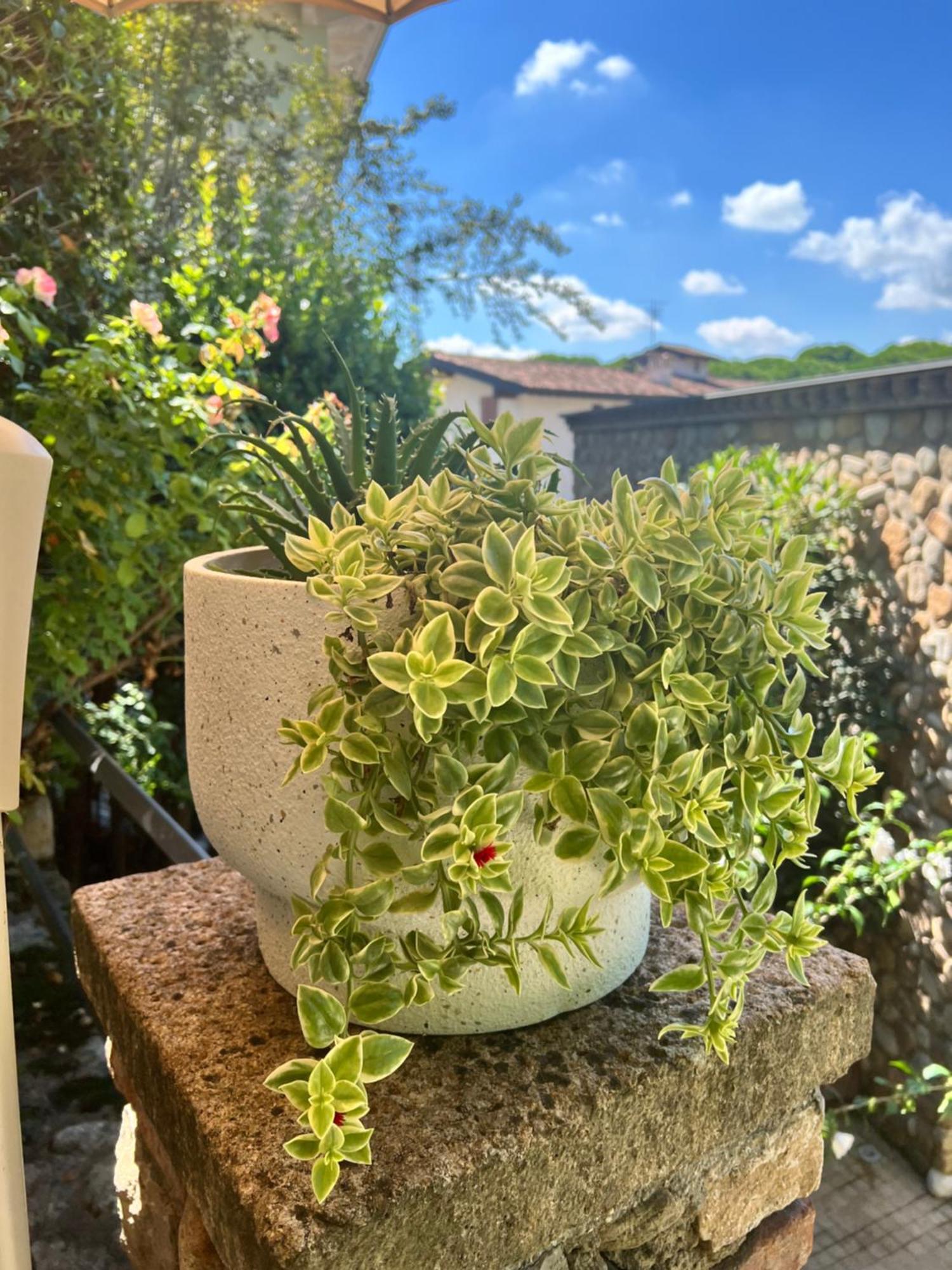 Garden Castle